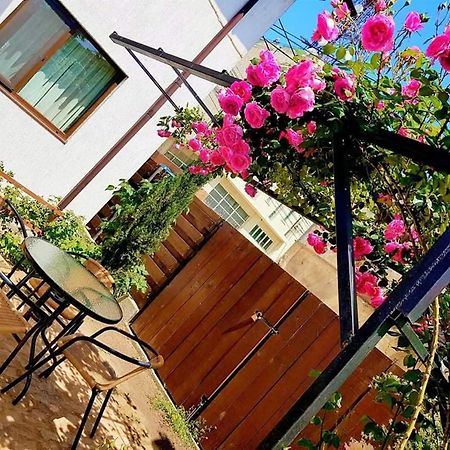 Pensiunea Casa Blanca スリナ エクステリア 写真