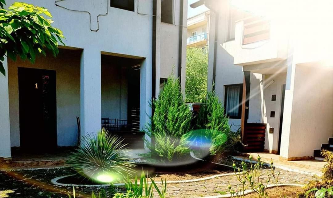 Pensiunea Casa Blanca スリナ エクステリア 写真