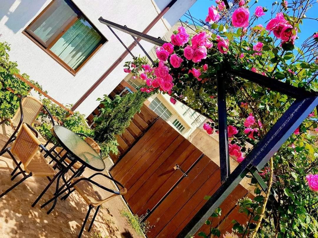 Pensiunea Casa Blanca スリナ エクステリア 写真