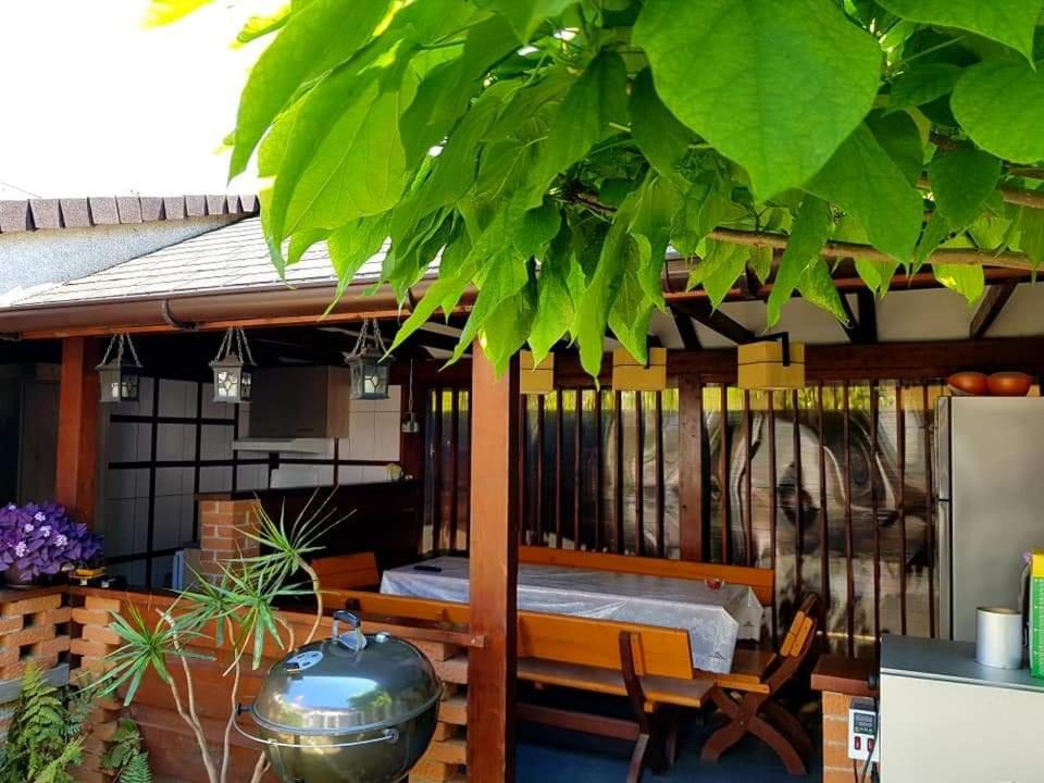 Pensiunea Casa Blanca スリナ エクステリア 写真