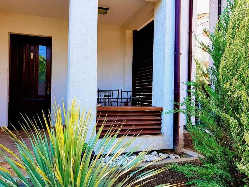 Pensiunea Casa Blanca スリナ エクステリア 写真